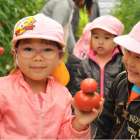静岡市野崎農園トマト狩り収穫体験開催！